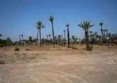 Opportunité terrain - مراكش