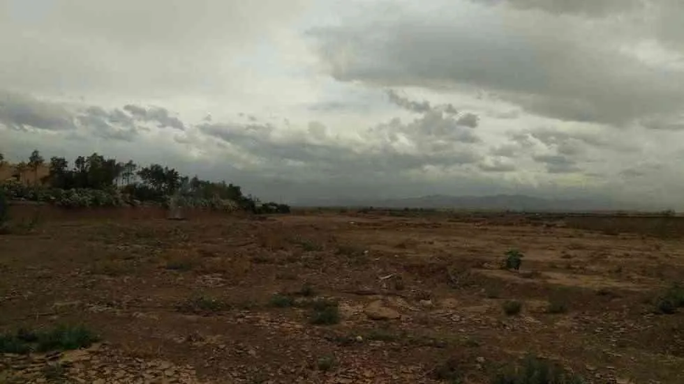 Beau terrain 1 Hectare - مراكش (3)