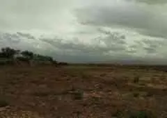 Beau terrain 1 Hectare - مراكش