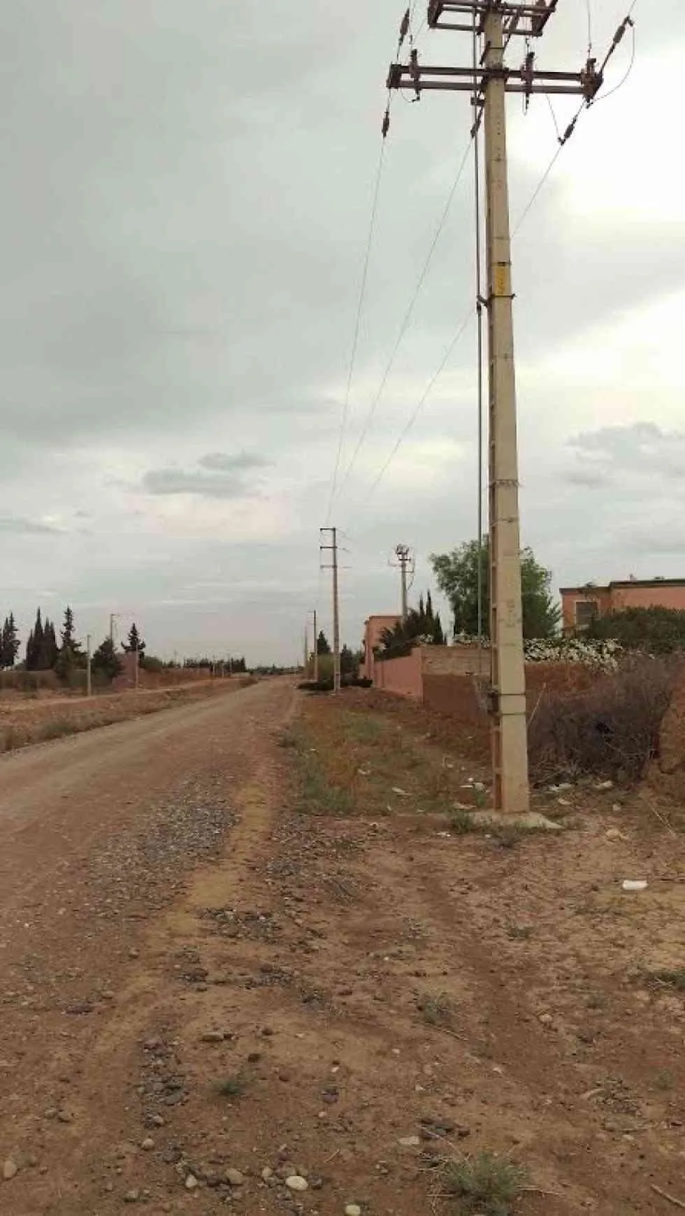 Beau terrain 1 Hectare - مراكش (4)