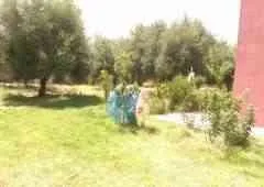 Maison de campagne - مراكش (2)