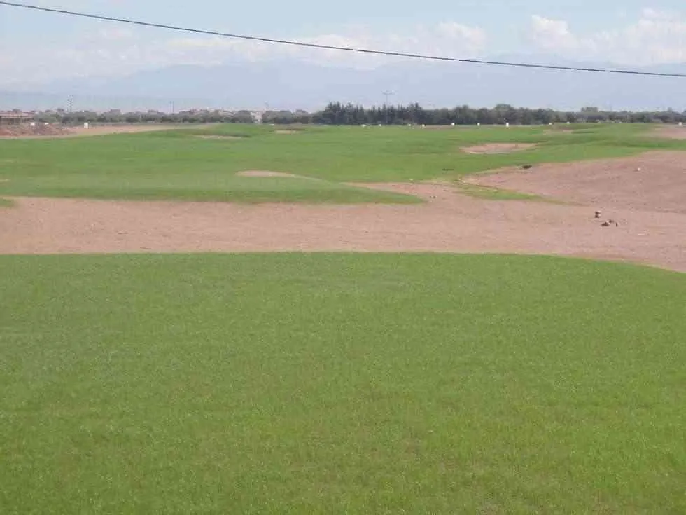 Lot de Villa 398 M² Première ligne sur golf - فاس (4)