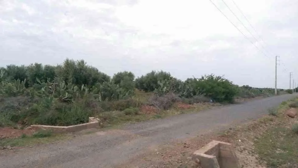 Magnifique terrain 5 hectares - مراكش (4)