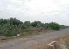 Magnifique terrain 5 hectares - مراكش