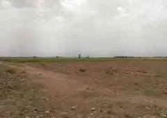 Magnifique terrain 5 hectares - مراكش (2)