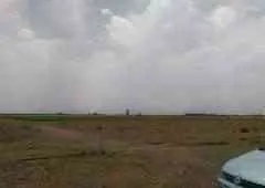 Magnifique terrain 5 hectares - مراكش (3)