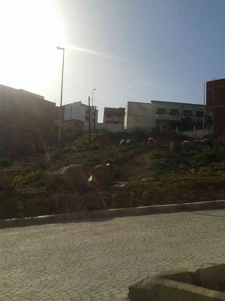 terrain à tetouan - Tétouan