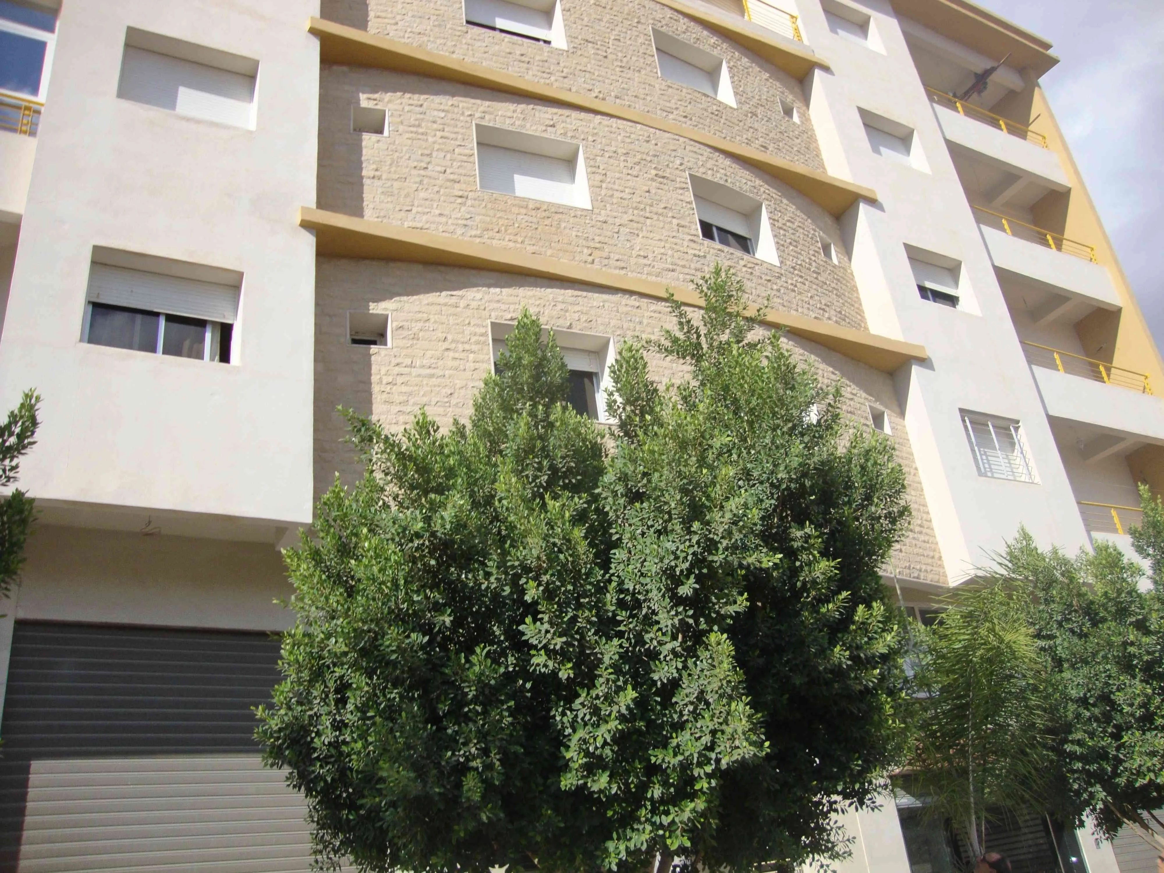 Appartement à vendre Moyen Standing - وجدة