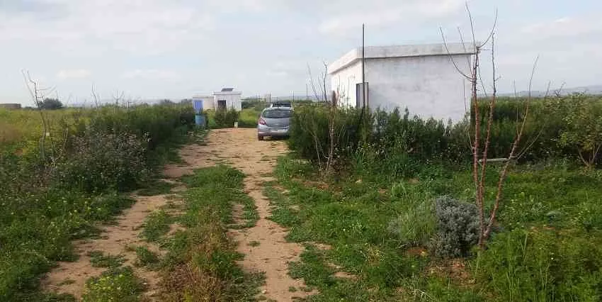 TERRAIN A VENDRE - فاس (3)