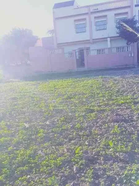 Maison à oued laou - ouad-laou (2)