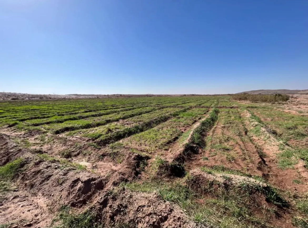 Terre Agricole À vendre 18 hectares dans la commune De Loudaya province de Marrakech - مراكش (3)