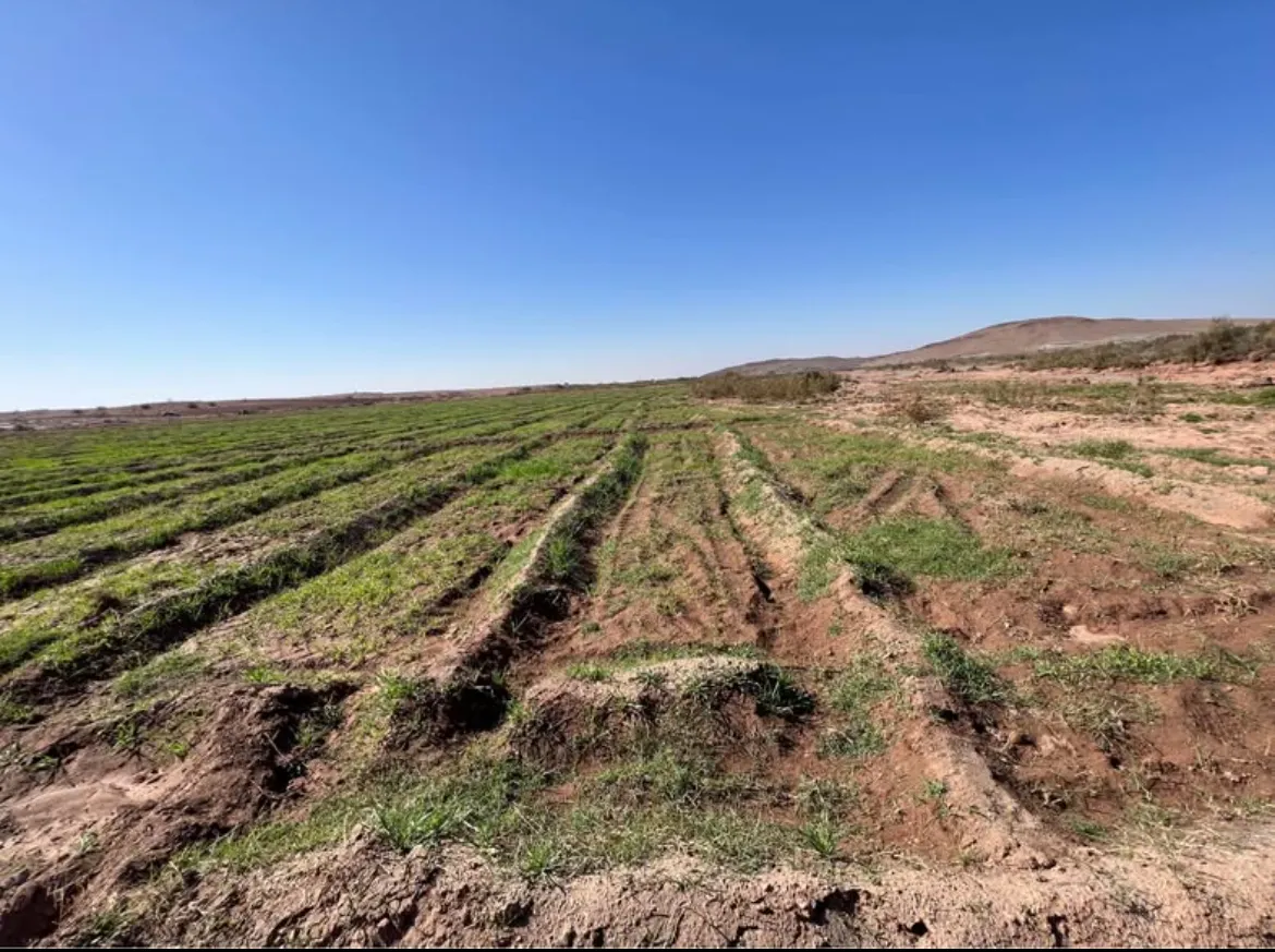 Terre Agricole À vendre 18 hectares dans la commune De Loudaya province de Marrakech - مراكش (2)