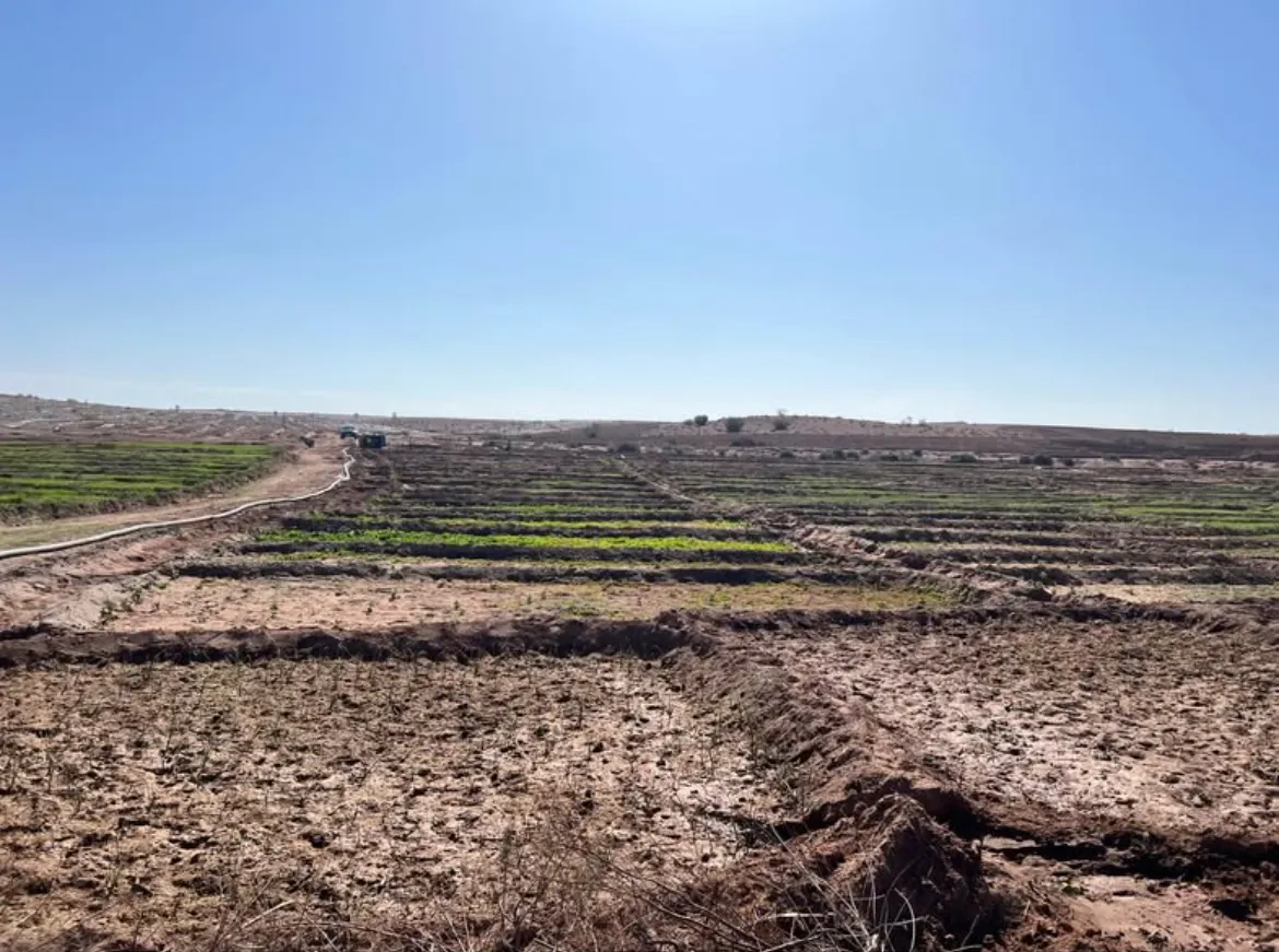 Terre Agricole À vendre 18 hectares dans la commune De Loudaya province de Marrakech - Marrakech