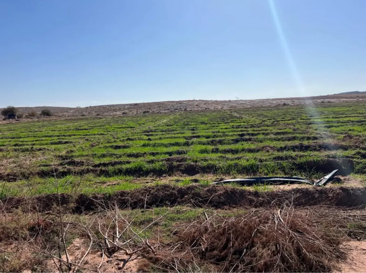 Terre Agricole À vendre 18 hectares dans la commune De Loudaya province de Marrakech - مراكش (4)